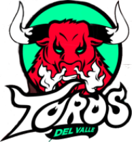 Toros