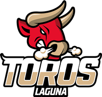 Toros