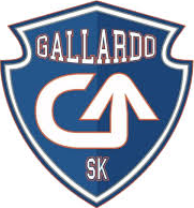 Gallardo