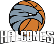 Halcones