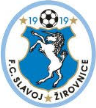 Slavoj Žirovnice