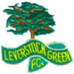 Leverstock Green