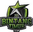 Bintang