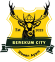 Berekum
