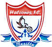 Halcones