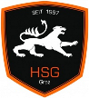 HSG