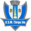 CSU Targu Jiu Handball
