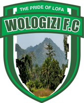 Wologizi