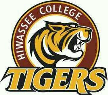 Hiwassee Tigers
