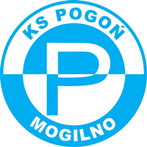Pogoń