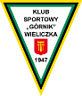 Gornik Wieliczka