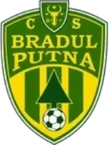 Bradul