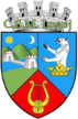 CSM Lugoj