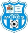 Ocna Mureș