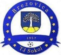 Sokol