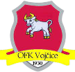 OFK Vojcice