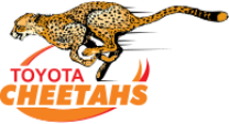 Cheetahs