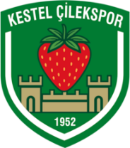 Kestel