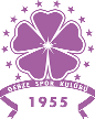 Gebzespor