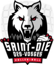 Saint-Dié-des-Vosges